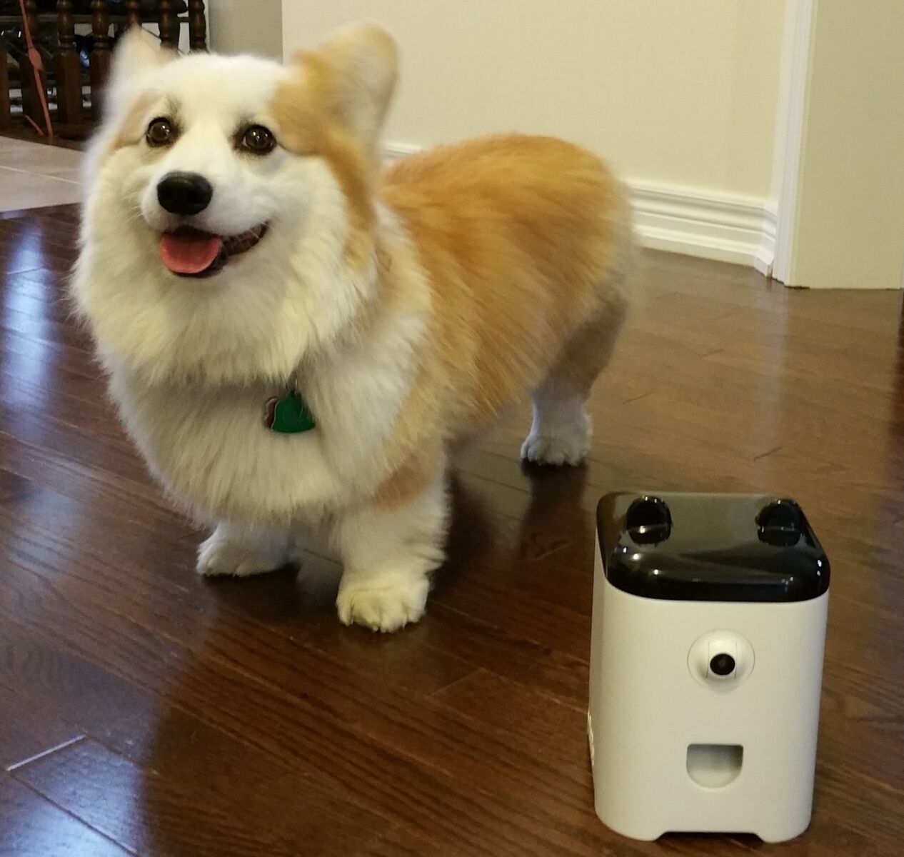 New high-tech features watch babies, race robots, take pet selfies